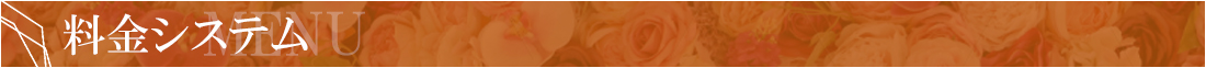 料金システム